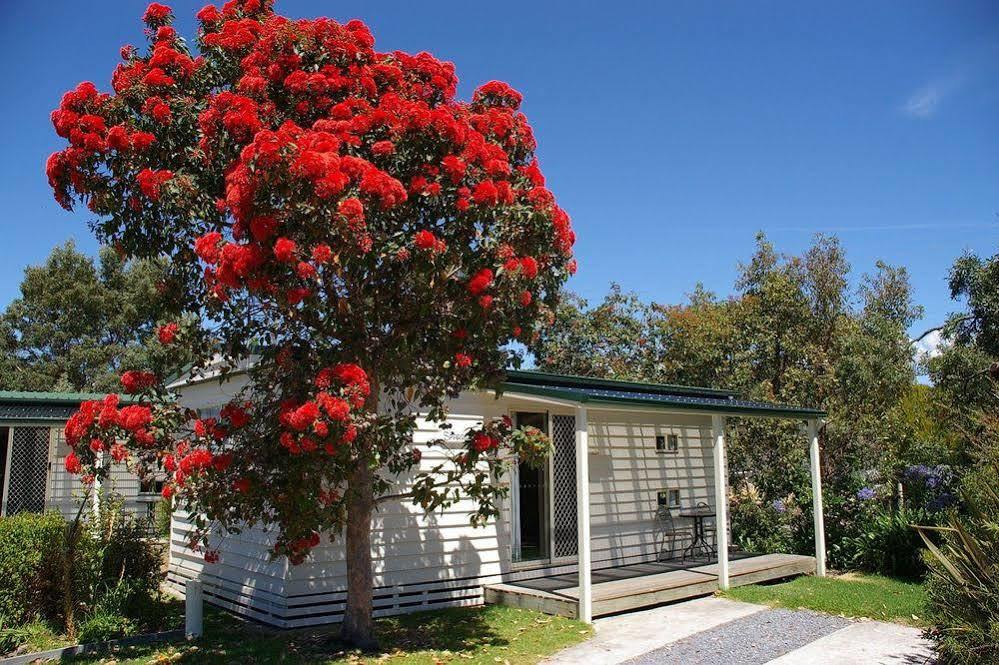Hotel Beauty Point Tourist Park Exterior foto
